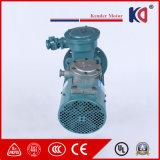 Yvbp-80m1-4 Variable-Frequency Adjustable-Speed Flameproof Motor for Crusher