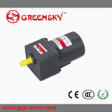 Good Sales 25W 80mm AC Induction Motor