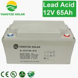 12V 65ah Deep Cycle Ultra Super Power Plus Battery