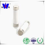 High Quality Low Voltage Resisitor Fuse