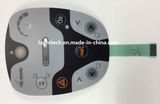 Graphic Overlay with Silver Point Contact Circuit Membrane Switch