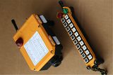 F21-20s Radio Crane Controller/Crane Radio Remote Control Telecrane