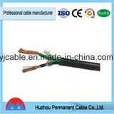 Copper PVC Insulation Cable 2.5mm Electric Cable Electrical Cable Wire Factory Cable----Tsj