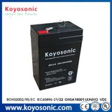 6V 10ah 20hr Rechargeable Battery for Electronic Scale/ Security System