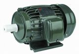 AEEF Series AC Induction 3 Phase Motor for Air Compressor