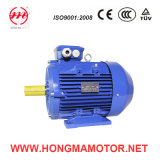 Asynchronous AC Variable Speed Motor with Aluminum Housing (112M-8P/4P-1.5/2.4KW)
