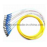 FC/Upc 12 Cores 0.9mm Fiber Optic Pigtail