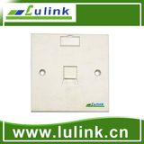Fast Connector Fiber Optic Connector with Sm Simplex1