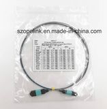 Fiber Optical MPO-MPO Patch Cord for Local Area Network