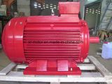 200kw Three-Phase Induction Electrical Motor for Water Pump