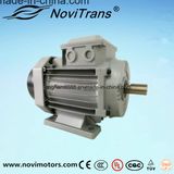 Permanent-Magnet Synchronous Motor 550W, 60Hz, 1500rpm, Ie4