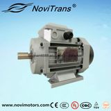 High-Efficiency Permanent-Magnet Synchronous Motor 550W