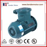 Flame-Proof Three Phase Asynchronous Motor