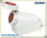 High End Type Wall Mounted Industrial Socket (QX136)