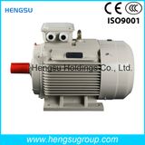 Y2/Ye2 Cast Iron Three Phase AC Induction Electric Motor