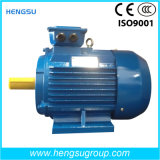 Ye2 Water Pump Cast Iron Three Phase AC Induction Electric Motor