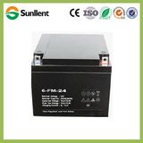 12V24ah Maintance Free AGM Battery for Electric Vehicles UPS Lighting Solar Applications