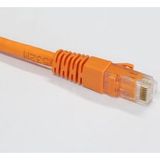 High Quality UTP Cat5e Patchcord (3m)