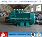 The Double Output Shaft Electric Three Phase AC Motor