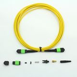 MPO/MTP Fiber Optic Cable Assemblies for Data Transmission