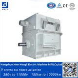 Compact Structure High Induction Electric Motor 3000kw