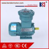 Yb3 Explosion Proof Induction AC Motor for Crusher