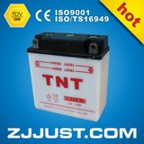 TNT 6n 11A-3 Motorcycle Battery