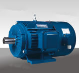 Direct buy China frequency-changing speed-adjusting electric AC motor