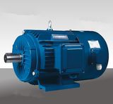 Direct buy China frequency-changing speed-adjusting electric AC motor