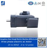 Three Phase Speed Variable 137kw 25-50Hz Electrical AC Motor