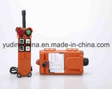 Factory Price Telecrane Remote Control (F21-4D)