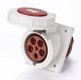 63A 3P+N+PE IP67 Panel mounted socket(Angle) (MN6542)