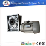 AC Three Phase Reduction Gearbox Motor