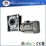 AC Three Phase Reduction Gearbox Motor