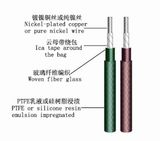 Awm 5107 High-Temperature Electrical Lead Wire