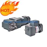 6W-250W Small AC Compact Gear Motor