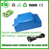 36V 6ah Li-ion Battery Pack E-Scooter Battery with Samsung 18650 in China with Stock