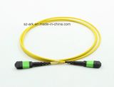 MPO/APC (male) -MPO/APC (female) OS2 Fiber Optical