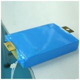 12V/24V/48V/72V 30/40/50/60/100ah/150ah/200ah LiFePO4 Li-ion Battery Cell/Pack for Solar/Wind Energy
