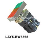 Double Pliot Light Direct Supply Push Button Switch