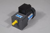 AC Induction Gear Motor 60W