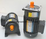 2200W Shaft Dia. 50mm Gear Reducer Small AC Geared Motor