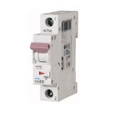 Xpole Plsm MCB Mini Circuit Breaker 1p 32A 10ka Miniature Circuit Breaker