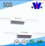 Rx27-1 Ceramic Encased Wire Wound Resistor Variableresistor