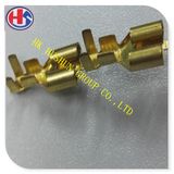 Supply 250 Series Female Brass Terminal Connector with Tin Plating (HS-FB-002)