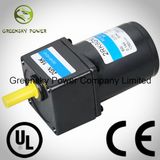 EVA AC Reversible 6W 60mm Gear Motor