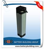 24V 15ah LiFePO4 Battery Pack Silver Fish Type
