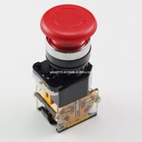 Pushbutton Switch