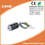 Brushless DC Small Powerful Electric Motors