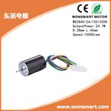 Brushless DC Small Powerful Electric Motors